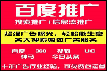 行业领先企业的网络推广与竞价经验